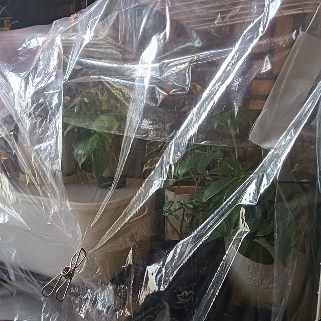 suzuneeさんの部屋