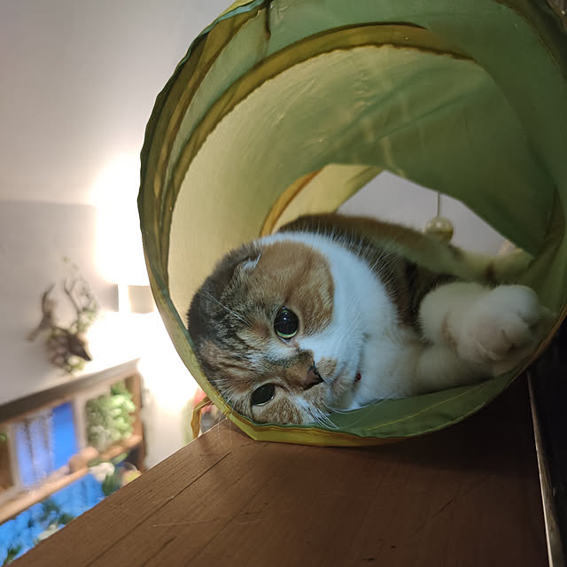 hiro3さんの実例写真