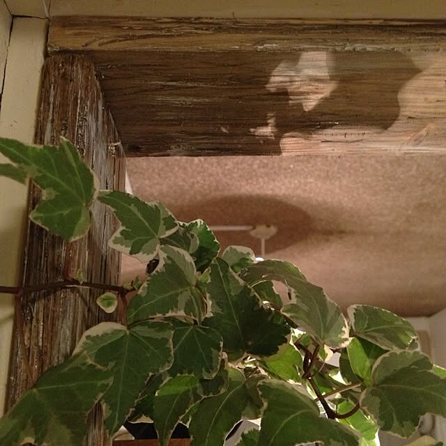 kimuさんの実例写真