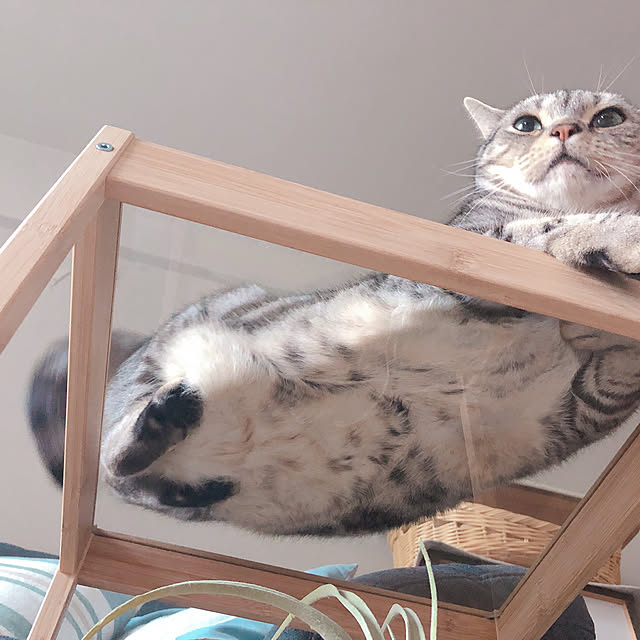tina_sa_0さんの実例写真