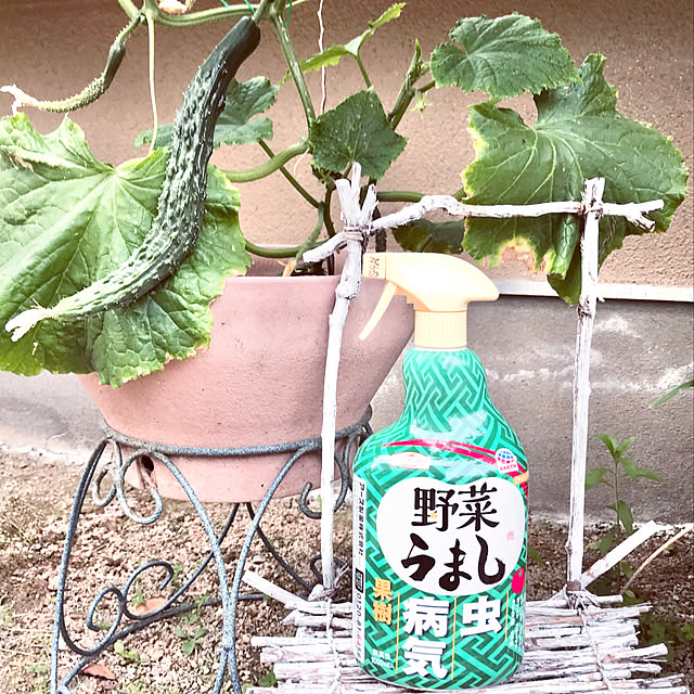 tararaさんの実例写真