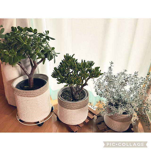 CoCo0617さんの部屋