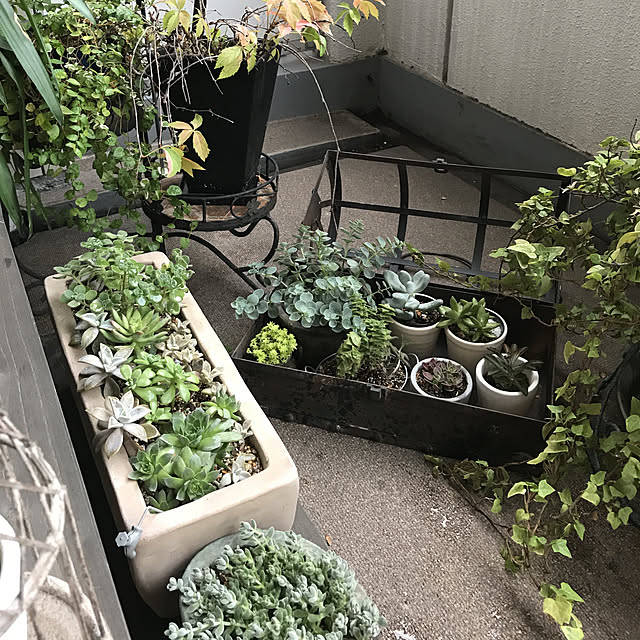 rinrinさんの実例写真