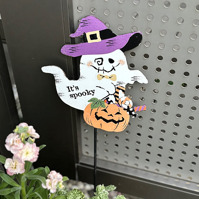 maayaさんの部屋