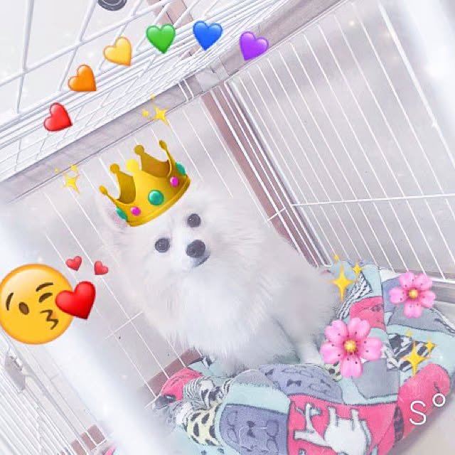 hoshimamaさんの実例写真