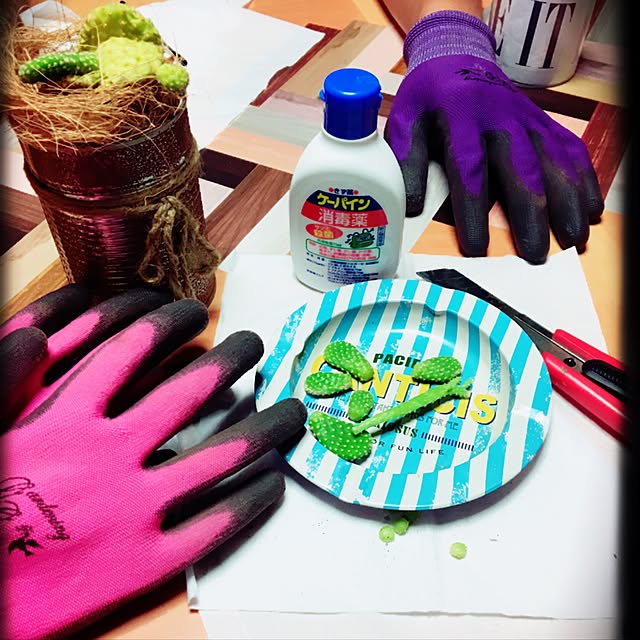 ayaさんの実例写真