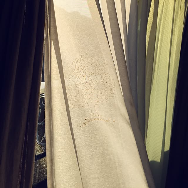moさんの実例写真