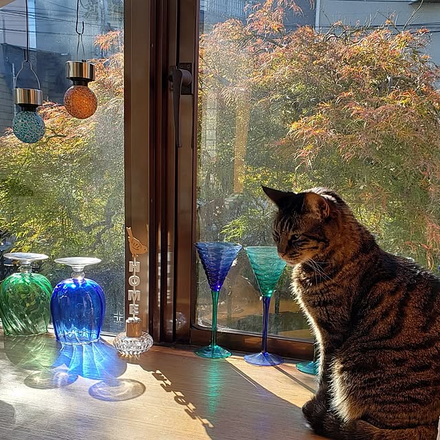 Mayumi8888さんの実例写真