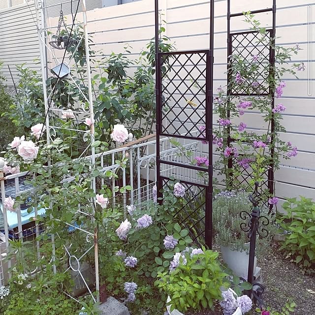 Bienvenueさんの部屋