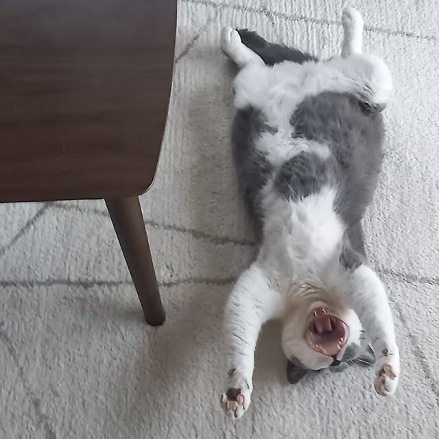 rhuさんの実例写真