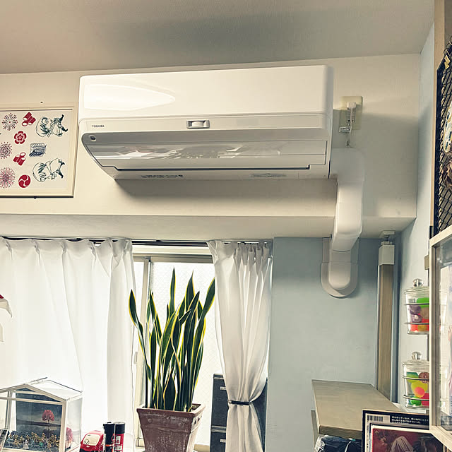 koshiregutyoさんの部屋