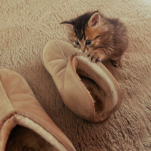 Mさんの部屋