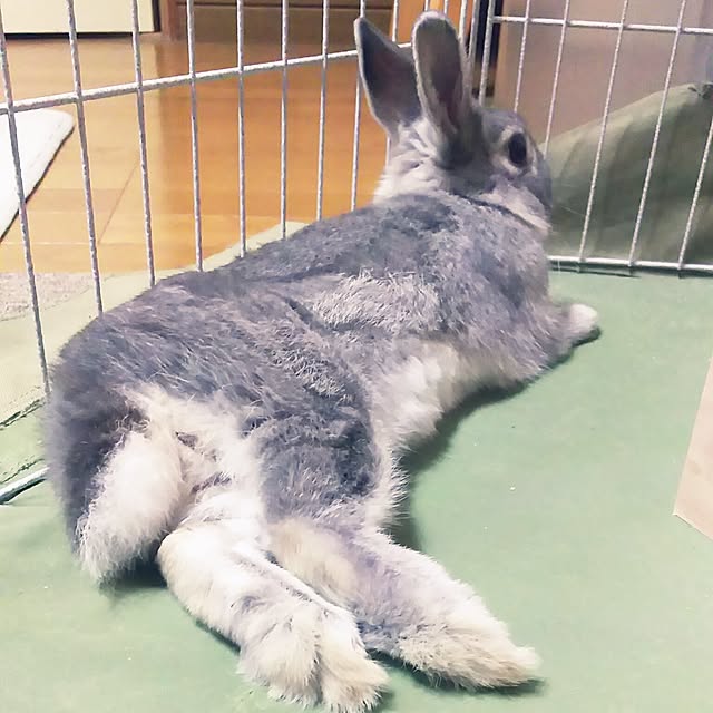 ykbnさんの実例写真