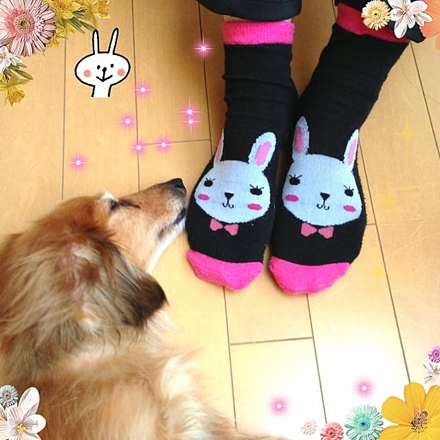 bara2200さんの実例写真