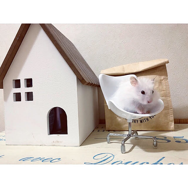 emiさんの実例写真