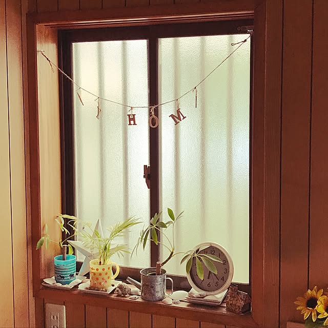 壁/天井/100均/ハンドメイド/DIY/観葉植物...などのインテリア実例 - 2017-06-20 09:48:30
