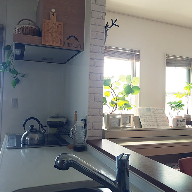 キッチン/3coins♡/ガーデン雑貨/DIY/ナチュラル...などのインテリア実例 - 2020-05-28 10:18:43
