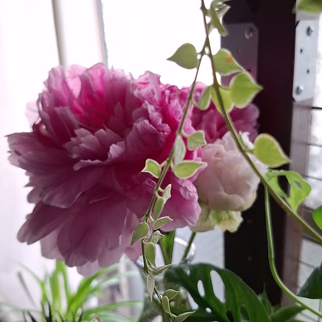noaさんの部屋