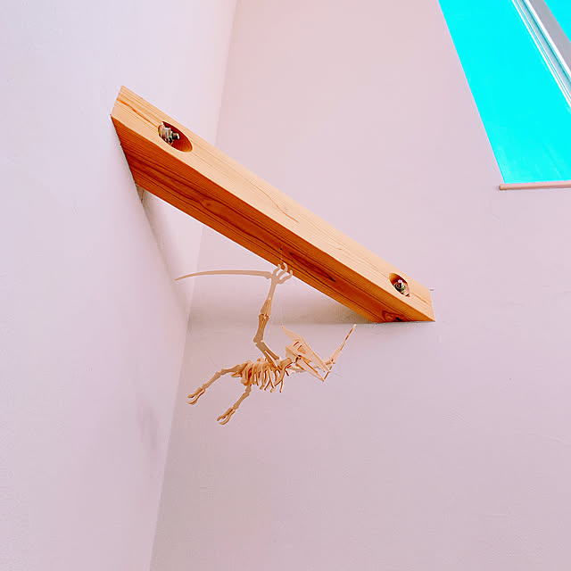 kikoriさんの実例写真