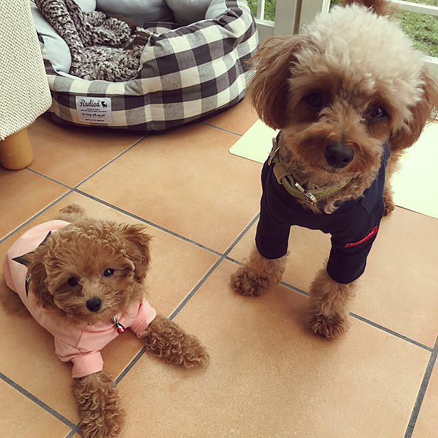 rikanonさんの実例写真