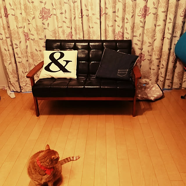 nakasetakeruさんの実例写真