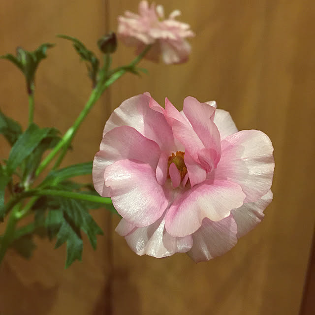 1546さんの実例写真
