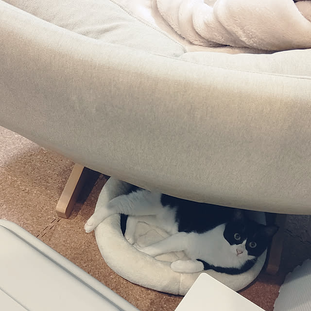 hihaさんの実例写真