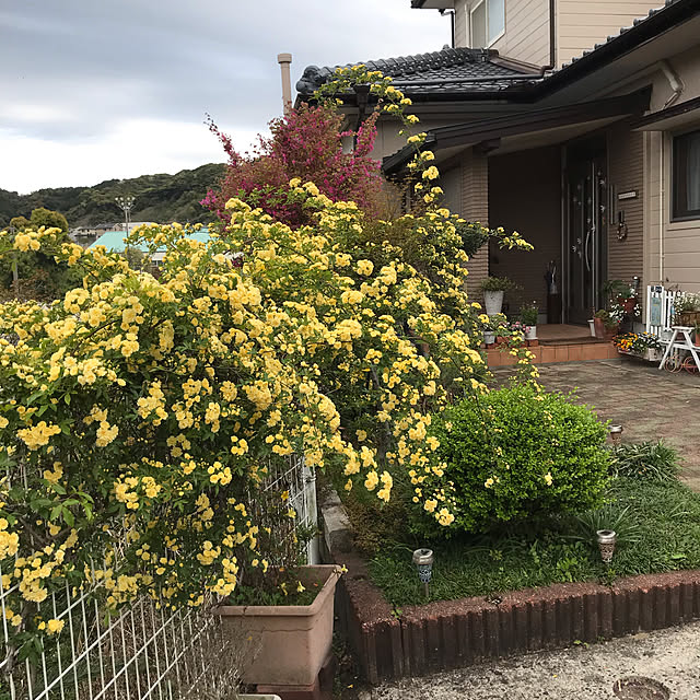 daikichiさんの実例写真