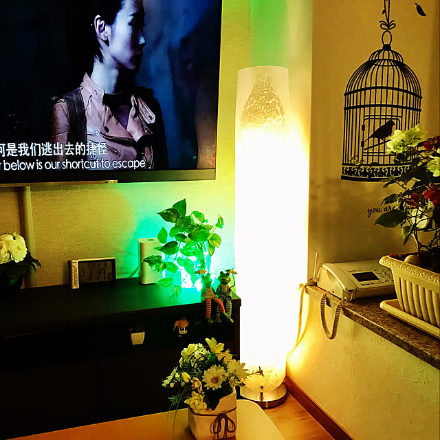 実例写真