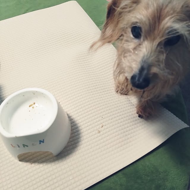 chocococoaさんの実例写真