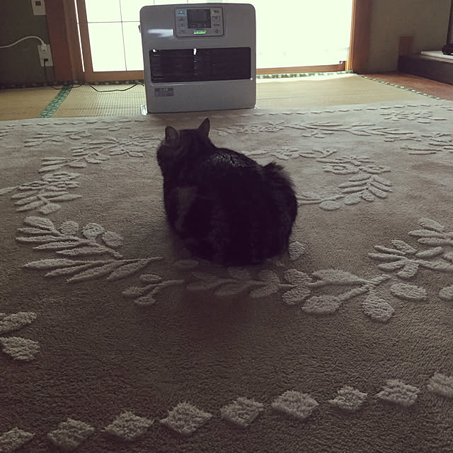 richanさんの実例写真