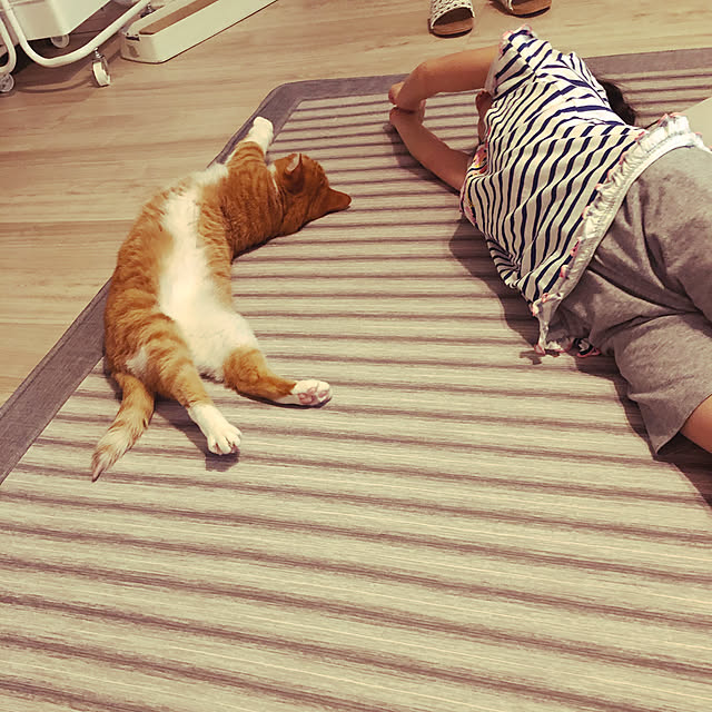 myuuさんの実例写真