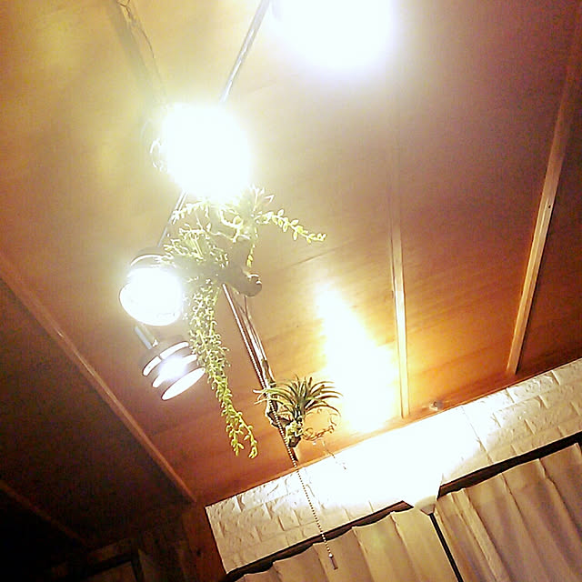 ringarintonさんの実例写真