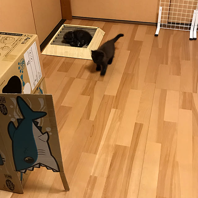 daikichiさんの実例写真