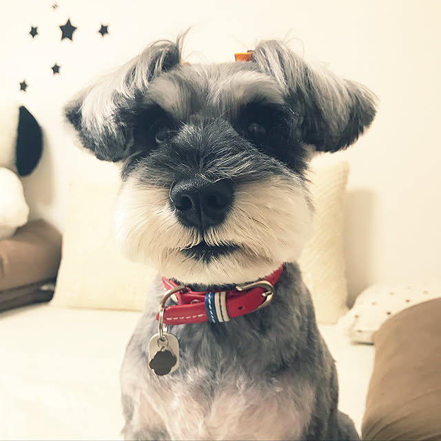 tamaeさんの実例写真