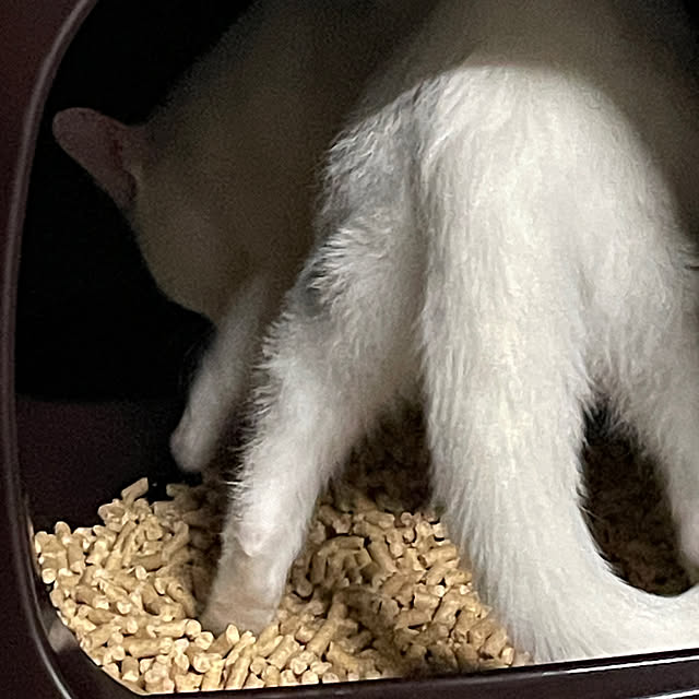 328さんの部屋