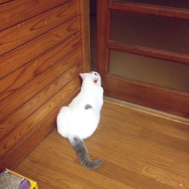 Akaneさんの実例写真