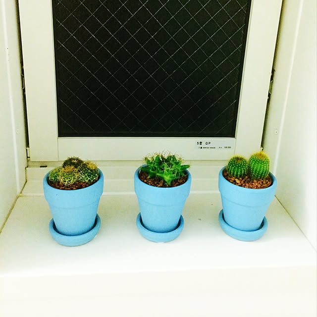 Hさんの実例写真