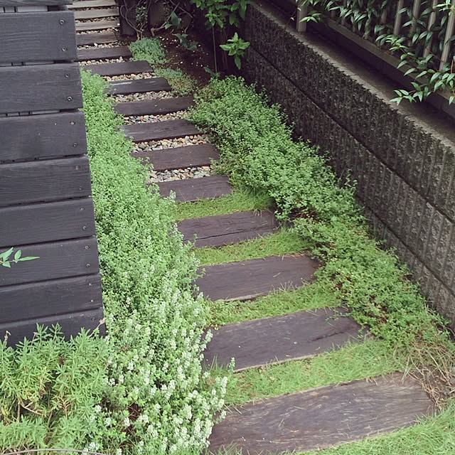 玄関/入り口のインテリア実例 - 2015-07-11 22:59:06