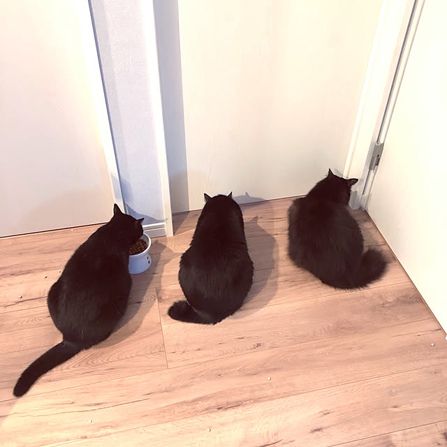 R.さんの実例写真
