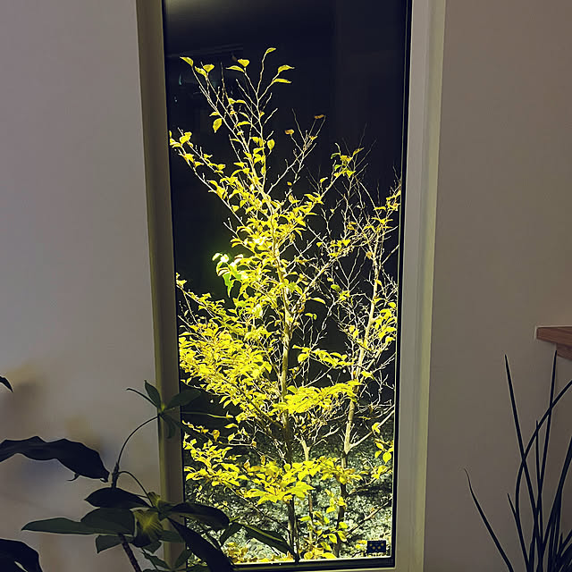 reosukeさんの実例写真