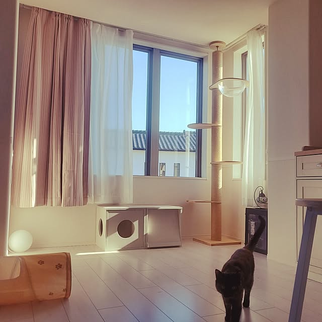 JIHYEさんの実例写真