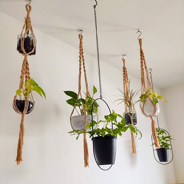 壁/天井/ハンドメイド 春/マクラメハンギング/つるす派/観葉植物...などのインテリア実例 - 2023-05-10 12:50:45