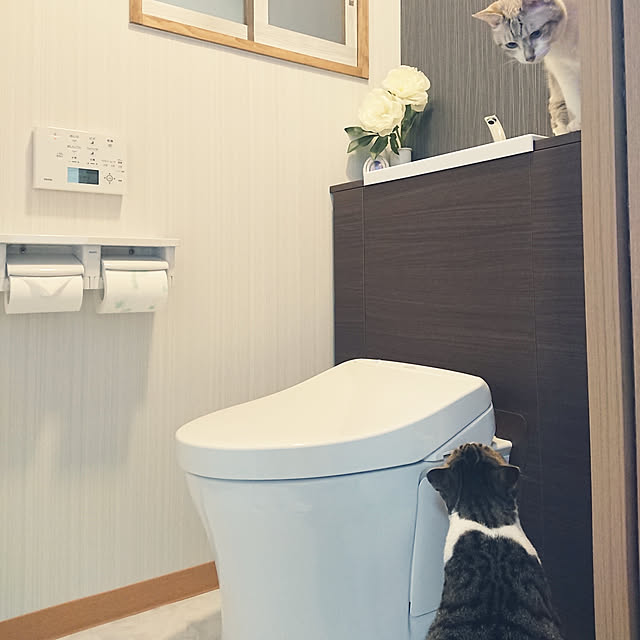 nachiさんの実例写真