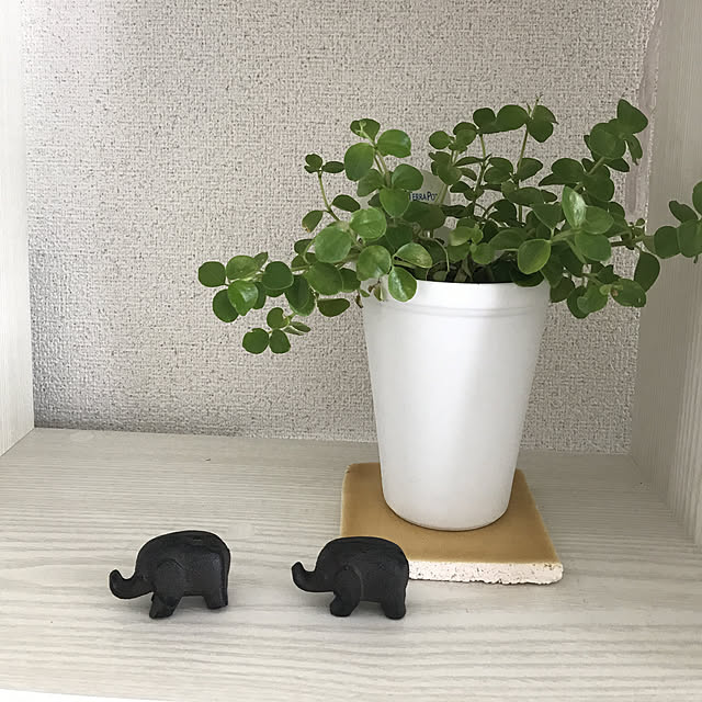 tajaboさんの実例写真