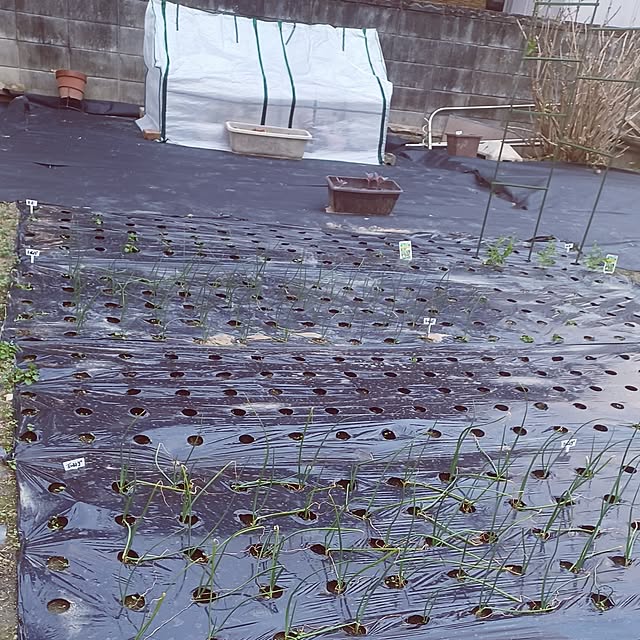 hiro.904さんの実例写真