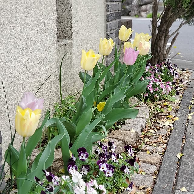 MARIE.color.interiorさんの部屋