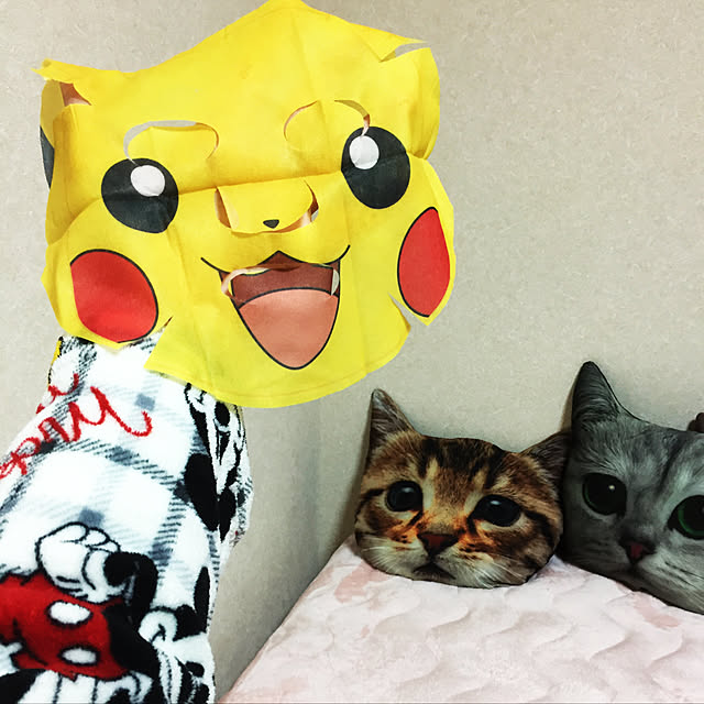 koyuriさんの実例写真