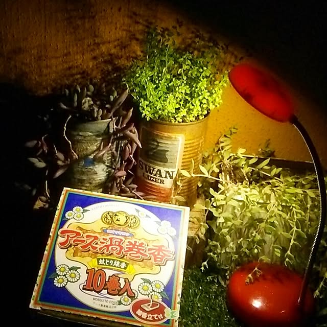 kanokomameさんの実例写真