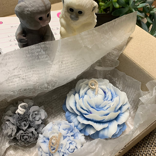 Aqettyさんの部屋